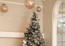 DAVIDLLYODChristmas2019